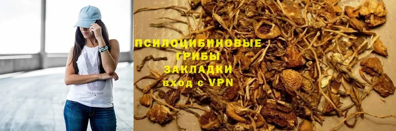 Галлюциногенные грибы Magic Shrooms  MEGA вход  Балей  магазин   